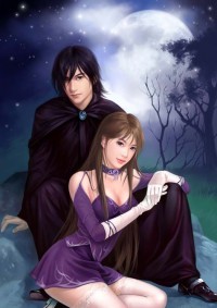 小霸王和美先生